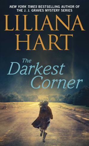 Book cover of The Darkest Corner