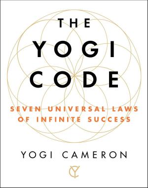 Cover of the book The Yogi Code by Spencer Quinn