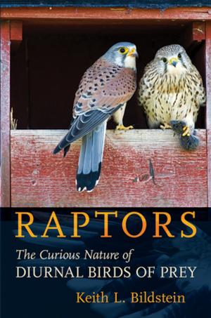 Cover of the book Raptors by David Schuyler