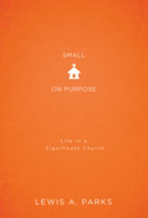 Cover of the book Small on Purpose by Matt Miofsky