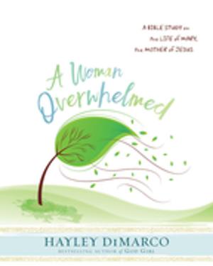 Cover of the book A Woman Overwhelmed - Women's Bible Study Participant Workbook by Alexis Skyrie