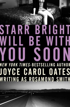 Cover of the book Starr Bright Will Be with You Soon by Richard Stern