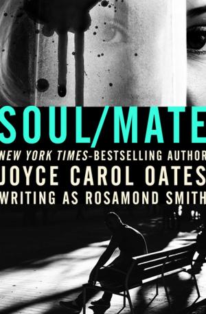 Cover of the book Soul/Mate by Elizabeth Chadwick