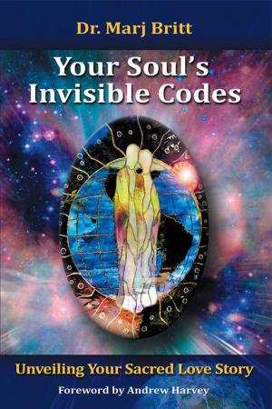 Cover of the book Your Soul’s Invisible Codes by Ken Sykes