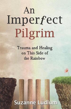 Book cover of An Imperfect Pilgrim