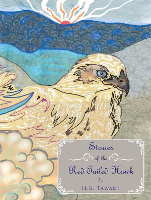 Cover of the book Stories of the Red-Tailed Hawk by Rainier George Weiner