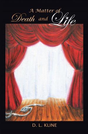 Cover of the book A Matter of Death and Life by John E. Long, Erin Newman