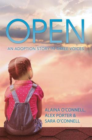Cover of the book Open by Kelly Hughes Roberts
