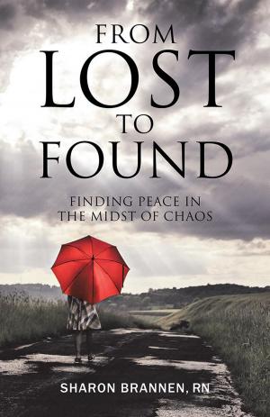 Cover of the book From Lost to Found by L. Monk