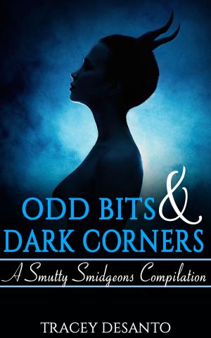 Cover of the book Odd Bits & Dark Corners by Xavier Carter