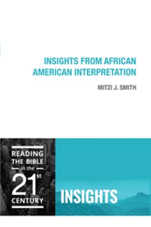 Cover of the book Insights from African American Interpretation by Mary Jane Streufert