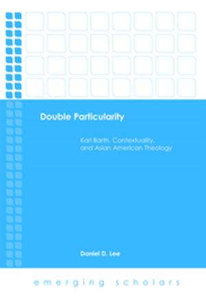 Cover of the book Double Particularity by Paul E. Hoffman