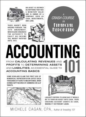 Cover of the book Accounting 101 by Gregory Bergman, Josh Lambert