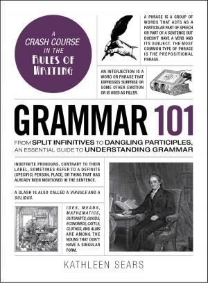 Cover of the book Grammar 101 by Jon P Bloch, PhD