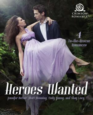 Cover of the book Heroes Wanted by Jillian David