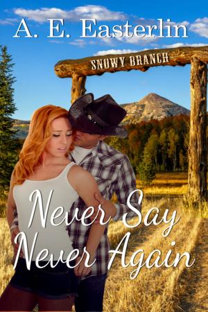 Cover of the book Never Say Never Again by Allison  Morse