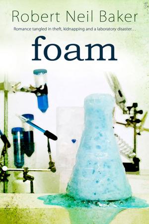 Book cover of Foam