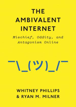 Cover of the book The Ambivalent Internet by Roger Kinsky