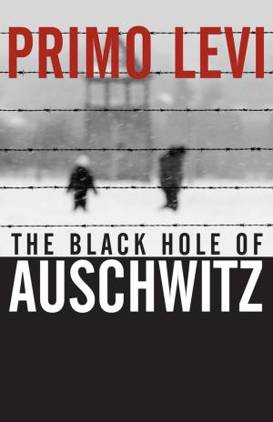 Cover of the book The Black Hole of Auschwitz by Hans Bisswanger
