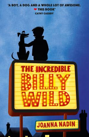 Cover of the book The Incredible Billy Wild by Catherine Fisher