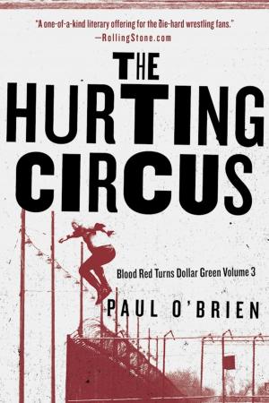 Cover of the book The Hurting Circus by Alan Ahrens-McManus