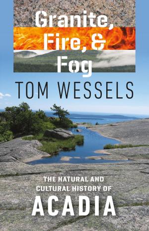 Cover of the book Granite, Fire, and Fog by David Nagel