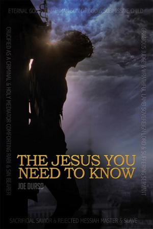Cover of the book The Jesus You Need to Know by Daniel Roberts Ph.D