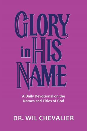 Cover of the book Glory in His Name by Julie Brawner