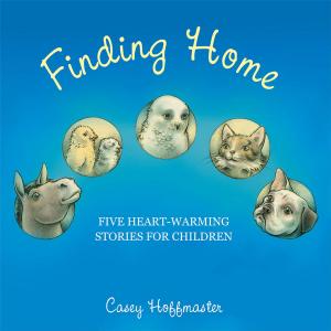Cover of the book Finding Home by Hannah Brodie