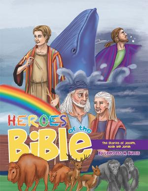 Cover of the book Heroes of the Bible by Terri Nuss