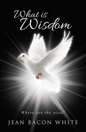 Cover of the book What Is Wisdom by Patrick T. Brown MDiv Ed.D