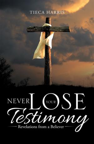Cover of the book Never Lose Your Testimony by Basha P. Jordan Jr. D.Min.