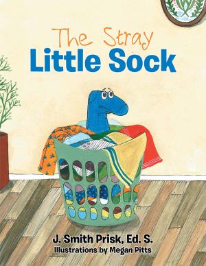 Cover of the book The Stray Little Sock by Jane Does, John