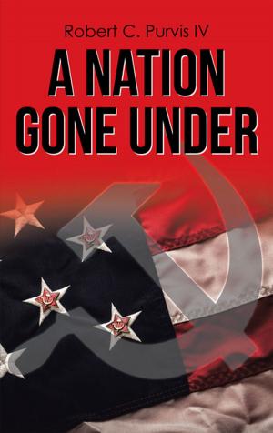 Cover of the book A Nation Gone Under by Seana Scott