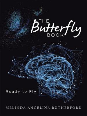 Cover of the book The Butterfly Book by Andy Gilmer