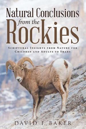 Cover of the book Natural Conclusions from the Rockies by DeLinda N. Baker
