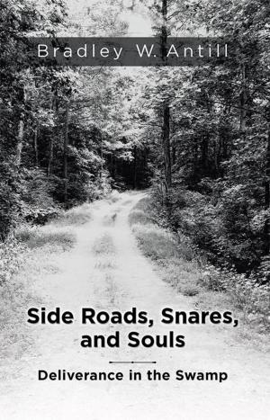 Cover of the book Side Roads, Snares, and Souls by Carine Colas Diallo