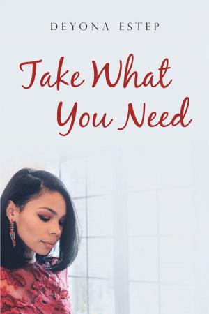 Cover of the book Take What You Need by Susana J. Bertuna Ph.D.
