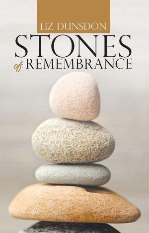 Cover of the book Stones of Remembrance by Tami Walker