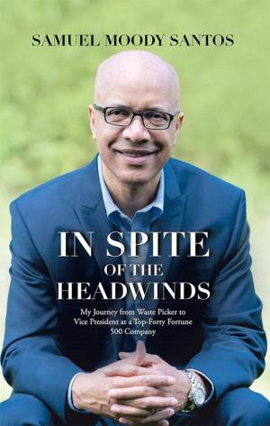 Cover of the book In Spite of the Headwinds by Carol Davidson