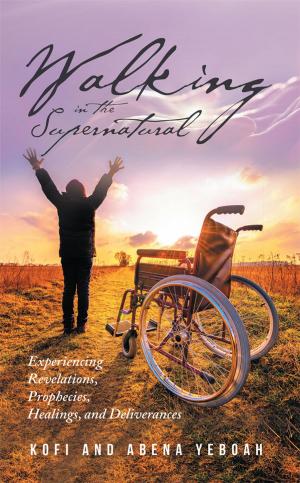 Cover of the book Walking in the Supernatural by Amanda Burke