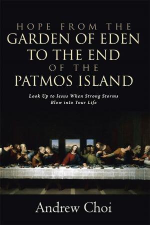 Cover of the book Hope from the Garden of Eden to the End of the Patmos Island by Michele Moberg