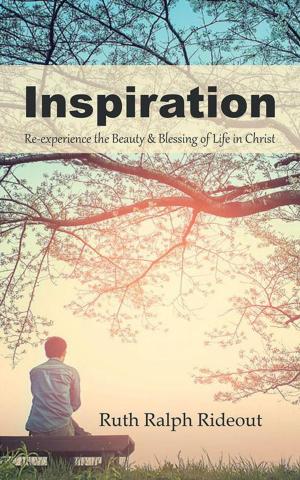 Cover of the book Inspiration by Brian K Amos
