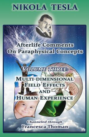 Book cover of Nikola Tesla: Afterlife Comments on Paraphysical Concepts