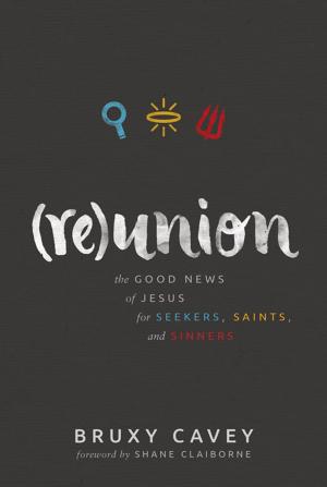 Cover of the book Reunion by John Drescher