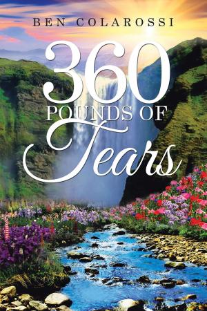 Cover of the book 360 Pounds of Tears by Brooke Parker Higgins