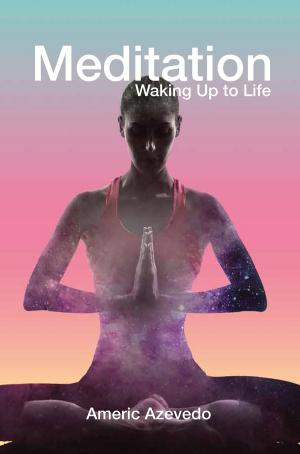 Cover of the book Meditation by Moira E. Stuart