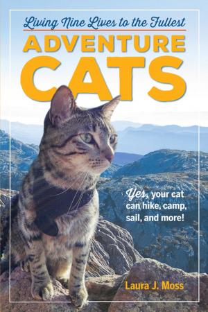 Cover of the book Adventure Cats by Jennifer Lehr