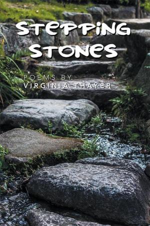 Cover of the book Stepping Stones by Ami Dzissah