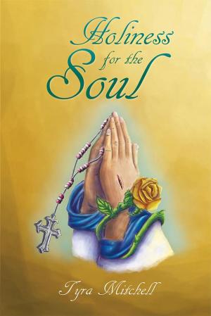 Cover of the book Holiness for the Soul by David S. Bell